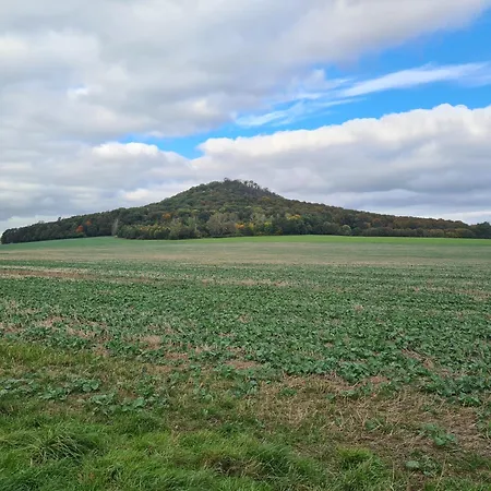 Willy غورليتز