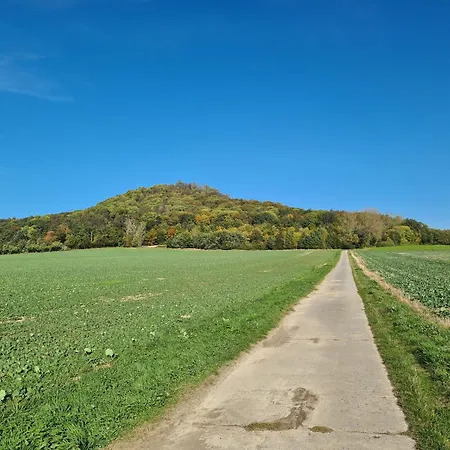 Willy غورليتز